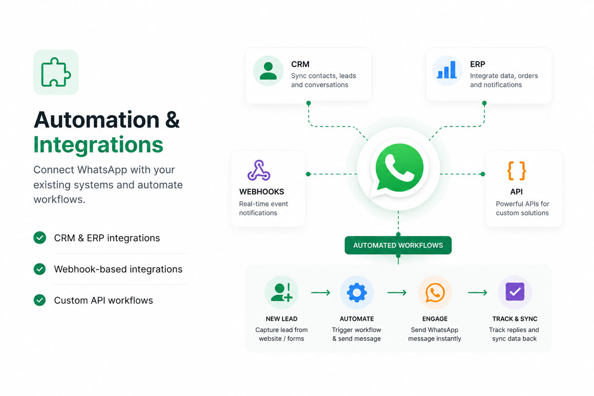 Automation & Integrations